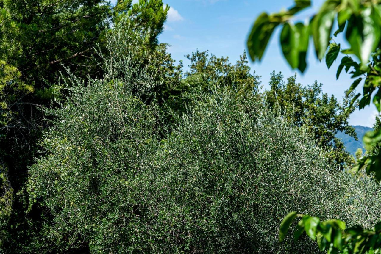 Agriturismo Le Chiusure Сан-Феличе-дель-Бенако Экстерьер фото