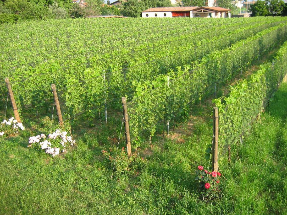 Agriturismo Le Chiusure Сан-Феличе-дель-Бенако Экстерьер фото